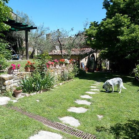 Casa Mezzuola Agriturismo Villa เกรเว อิน เคียนตี ภายนอก รูปภาพ
