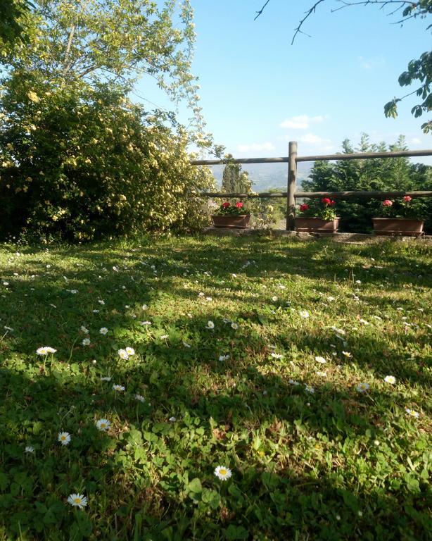Casa Mezzuola Agriturismo Villa เกรเว อิน เคียนตี ภายนอก รูปภาพ