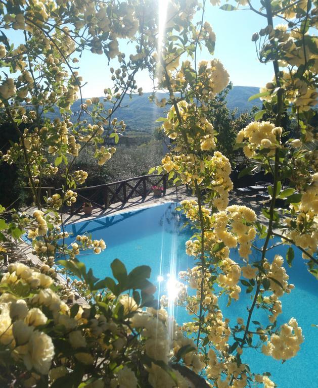 Casa Mezzuola Agriturismo Villa เกรเว อิน เคียนตี ภายนอก รูปภาพ