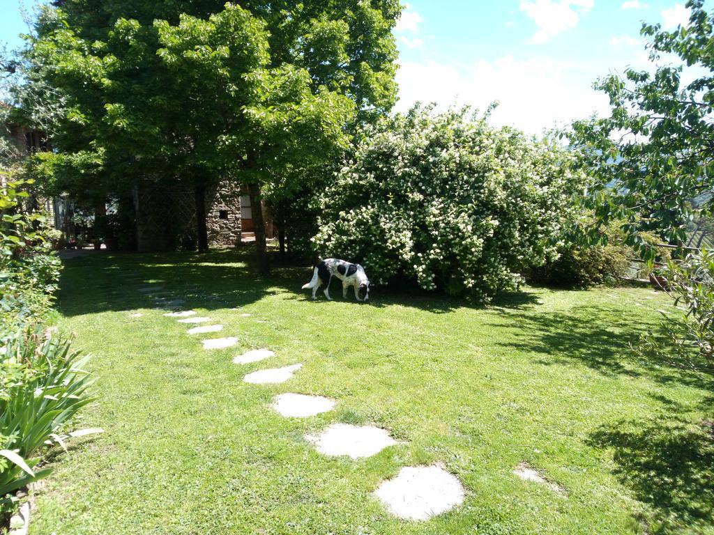 Casa Mezzuola Agriturismo Villa เกรเว อิน เคียนตี ภายนอก รูปภาพ